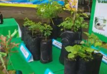 INAFOR lanza Cruzada Departamental Forestal en Muy Muy nicaragua