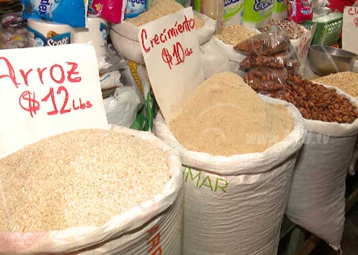 amanda-1_CknjZfG nicaragua