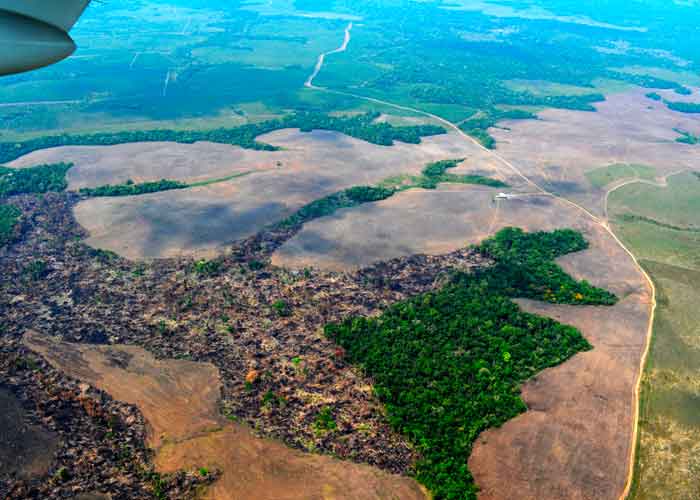 amazonia-deforestacion brasil