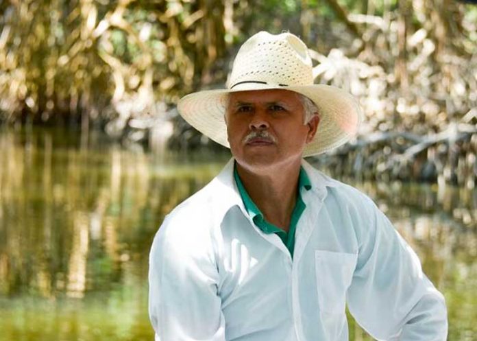 ambientalista-mexico mexico