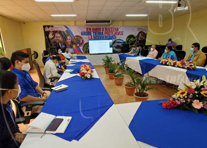 ambiente-ozono-3 nicaragua