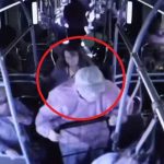 Anciano muere al ser lanzado desde un bus en Estados Unidos estados unidos