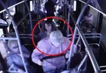 Anciano muere al ser lanzado desde un bus en Estados Unidos estados unidos