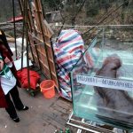 «Los vegetarianos podrían salvar el mundo» ciencia