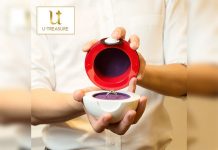 Atrapa al amor de tu vida con el anillo de compromiso de Pokémon japon