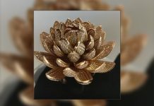 Anillo con más de 6 mil diamantes logró superar un récord Guinness (Video) india