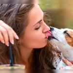 Cuidado con los besos a tus mascotas, te podría salir caro salud