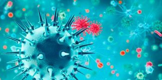 coronavirus