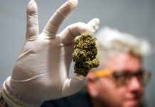 Uruguay busca aumentar venta de marihuana
