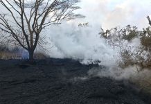 Hawai: Disminuyen las emisiones de ceniza del volcán Kilauea hawai