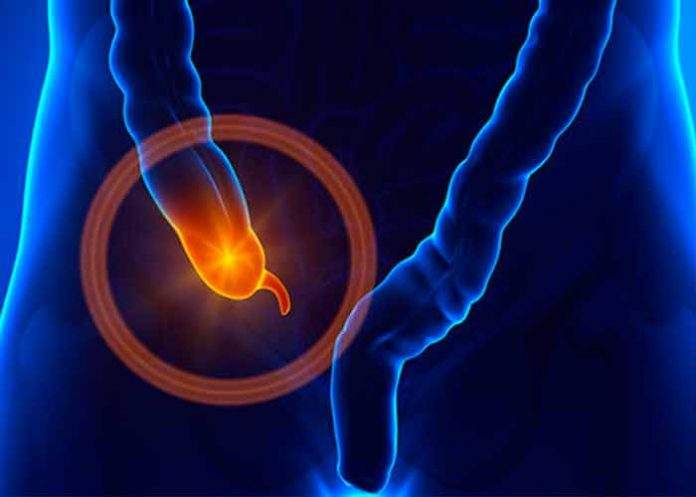 tracto gastrointestinal