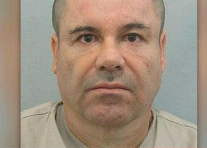 apelacion-uno estados unidos