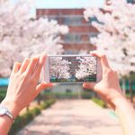 5 mejores apps para editar fotos como un profesional apps para editar fotos