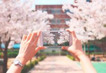 5 mejores apps para editar fotos como un profesional apps para editar fotos
