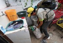 Confirman 292 casos de dengue en Paraguay paraguay