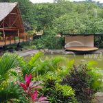 INAFOR en el 2020 continuará protegiendo y restaurando la Madre Tierra nicaragua