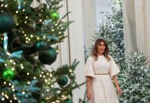 El cierre del gobierno en EEUU apaga el árbol de Navidad de Washington estados unidos