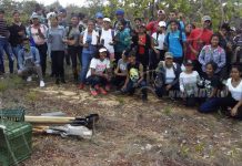 Bilwi se suma a la celebración del Día Mundial del Medio Ambiente nicaragua