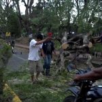 Enorme árbol sucumbe ante los fuertes vientos en Ometepe nicaragua
