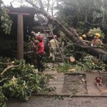 Caída de árbol de aguacate deja daños en autolavado de Jinotepe nicaragua