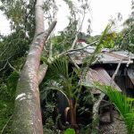 Tornado daña 11 viviendas y causa estragos en Villa Sandino, Chontales nicaragua