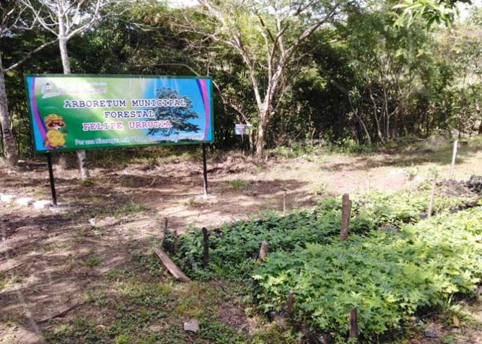 arboretum-urrutia-03 nicaragua
