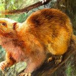 ciencia, ratas, comida, hallazgo,