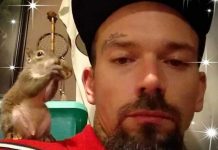 Hombre niega haberle dado metanfetamina a «ardilla de ataque» estados unidos