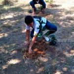 FES restablece áreas verdes en colegio Experimental México nicaragua