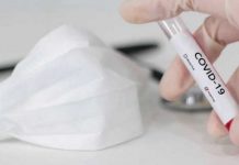 Argentina construirá hospitales ante avance del coronavirus argentina