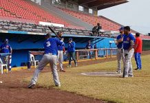 Leones se mantienen Invictos al superar a Falcons leon