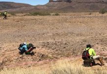Encuentran cuerpos de cuatro inmigrantes en desierto de Arizona estados unidos