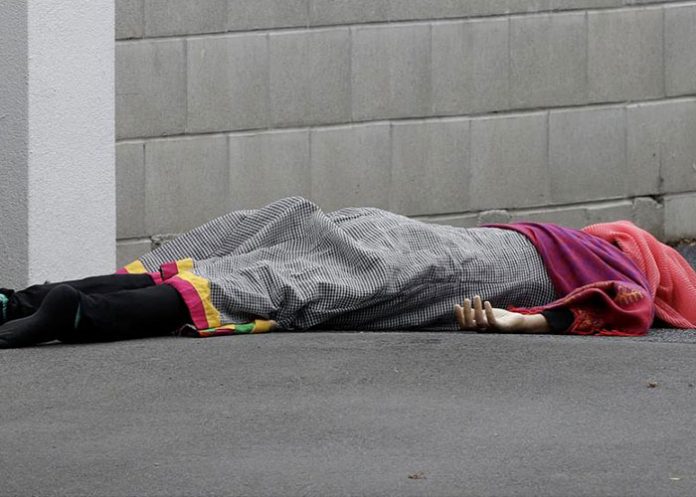 armas-zelanda nueva zelanda