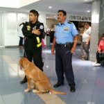 Hasta 5 mil personas llegan diario al Aeropuerto Internacional en Semana Santa nicaragua