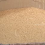 Producción de arroz en Nicaragua aumentará un 6.5% nicaragua