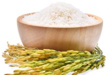 ¡Entérate! ¿Qué engorda más, el arroz o la pasta? dieta saludable