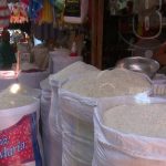 Producción de granos básicos, café y azúcar repuntan en Nicaragua nicaragua