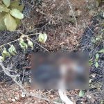 Indignación en Oaxaca: Asesinan y queman a madre y a su bebé mexico