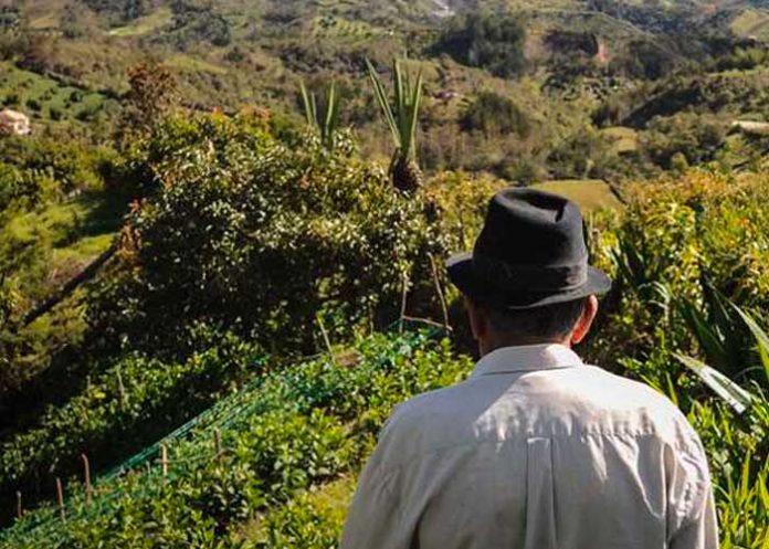 asesinato-colmbia colombia