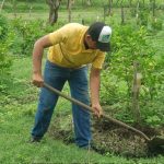 Colectas de agua en Nicaragua establecen un impulso a la producción nicaragua