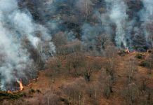 117 incendios forestales ponen arder el norte de España