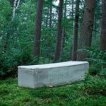 Fabrican un «ataúd viviente» a partir de sistema de raíces de los hongos ciencia