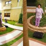 Atan a trabajadora doméstica a un árbol por sacar los muebles al sol arabia saudita