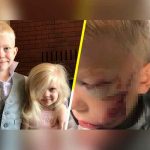 Los Vengadores llaman «héroe» a niño que salvó a su hermana del ataque de un perro estados unidos