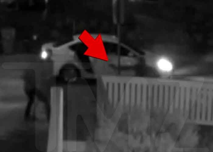 ataque-paseador-gaga estados unidos