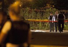 Atropello durante carnaval en EU deja 2 muertos y 6 heridos estados unidos
