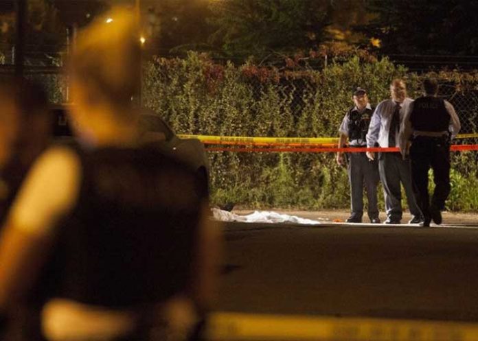 atropello-_hBJqF1Z estados unidos