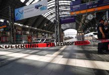 Alemania: Niño muere arrollado por un tren tras ser empujado a la vía
