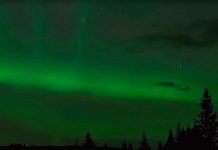 VIDEO: NASA resuelve el misterio de unas luces púrpuras en el cielo nasa