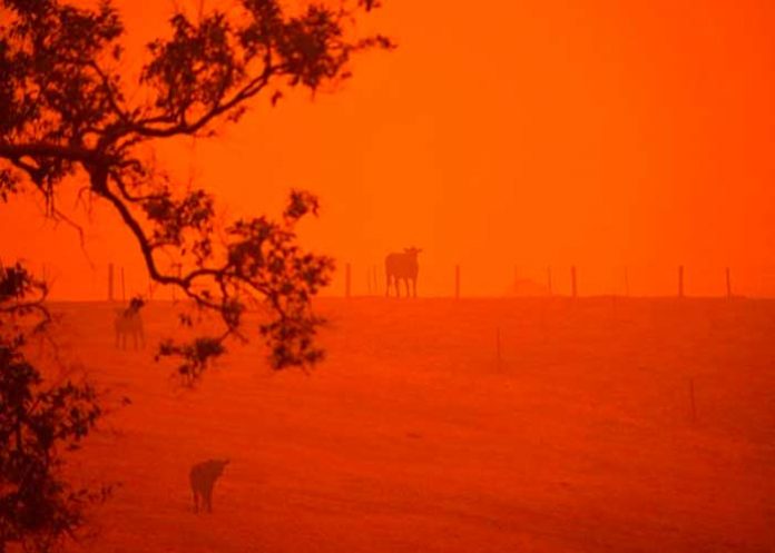 australia-26 australia